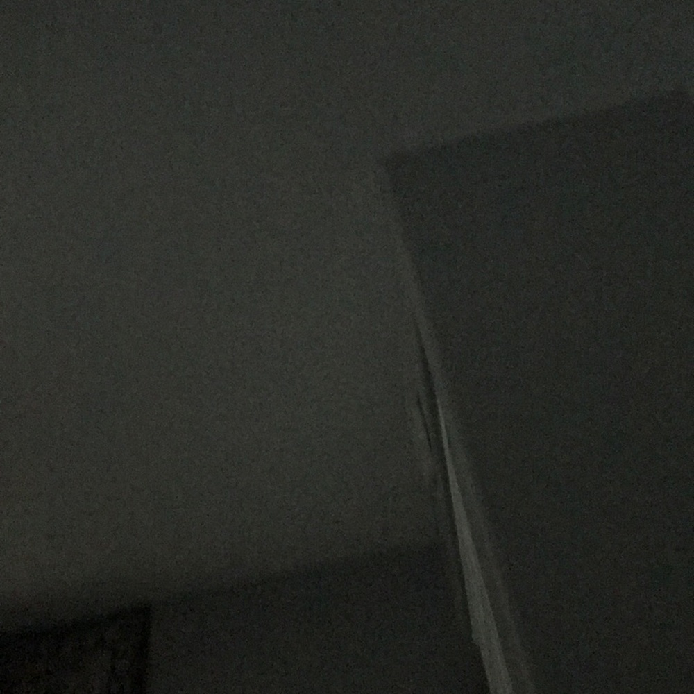 Meet your Posher, Gracie